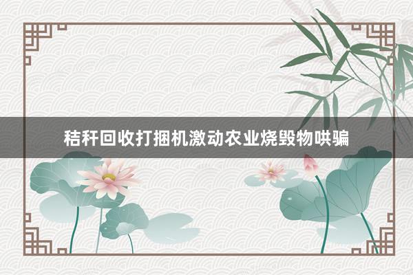 秸秆回收打捆机激动农业烧毁物哄骗